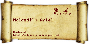 Molcsán Ariel névjegykártya